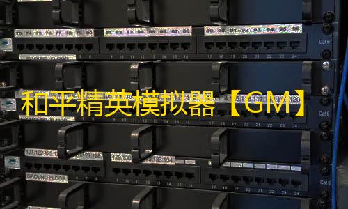 和平精英模拟器【GM】辅助